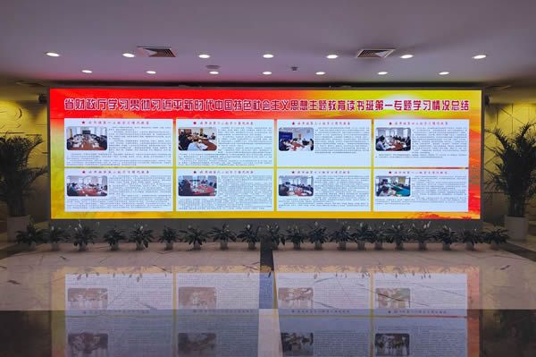 國(guó)內(nèi)有哪些COB顯示屏廠家做得比較好的？